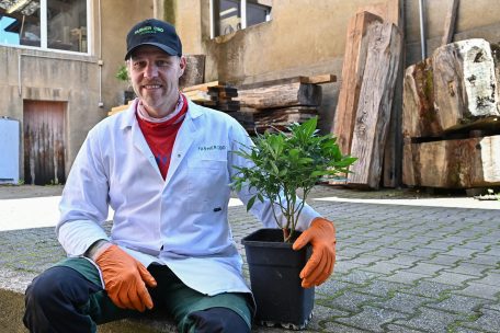 Grüner Daumen: Steve Wampach kennt sich mit Cannabis-Anbau aus
