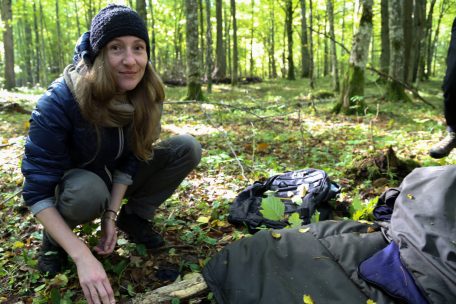 Migration / Polen verlängert Ausnahmezustand an der Grenze zu Belarus