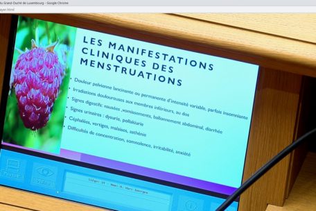 Per Präsentation wurden die Abgeordneten an die vielen Facetten der Menstruationsbeschwerden erinnert