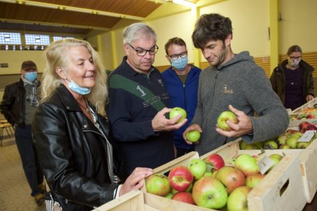 Mit Systematik zum Ziel / Obstsortenbestimmung – Ein Beitrag zur Erhaltung der Artenvielfalt