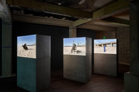 Die Reihe „SHELTER“