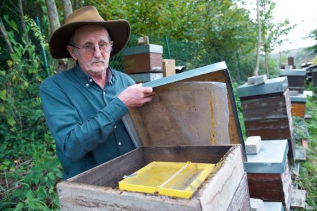 Umwelt  / René Toussaint macht Honig und züchtet Bienenvölker 