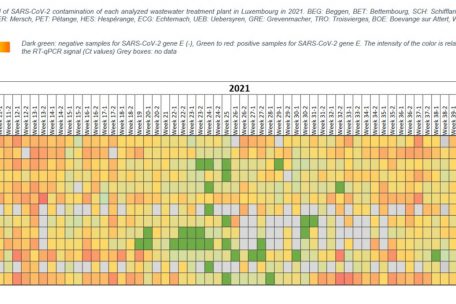 Grad der SARS-CoV-2-Kontamination jeder analysierten Kläranlage in Luxemburg im Jahr 2021 