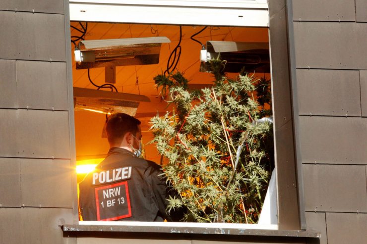 Deutschland / Die angehenden Koalitionäre wollen Cannabis legalisieren, die Argumente aber haben Lücken