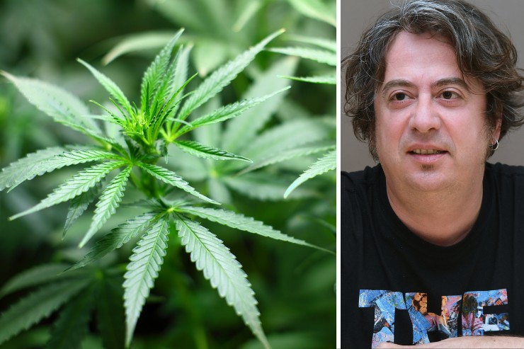 Luxemburg / Carlos Paulos vom Projekt „Pipapo“ begrüßt Pläne zum Besitz von Cannabispflanzen für den Eigenkonsum