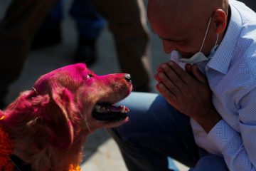 Egal ob Haustier oder Streuner  / Tahir-Fest in Nepal: Die Feier, bei der die Menschen ihre Hunde ehren