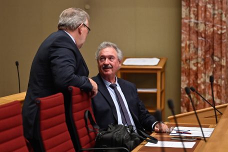 Parlament / Opposition zerpflückt außenpolitische Erklärung