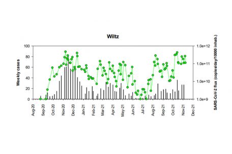 Screenshot aus dem Coronastep-Report vom 12. November 2021: Grüne Punkte zeigen SARS-CoV-2-Viren im Wiltzer Abwasser an, die grauen Linien die wöchentlichen Infektionszahlen aus der betreffenden Region