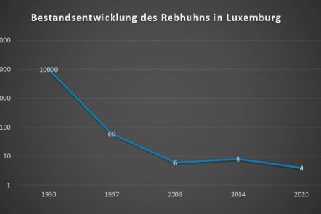 Früher gab es in Luxemburg mehrere Tausend Rebhuhn-Brutpaare – mittlerweile sind es nur noch vier