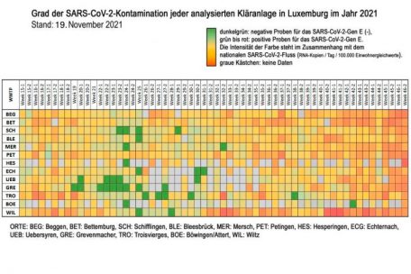 Screenshot aus dem Coronastep-Report vom 19. November/Bearbeitung (Übersetzungen) durch den Autor