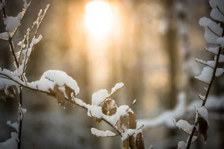 Wetter / Achtung, Glättegefahr – in Luxemburg soll’s am Freitagabend schneien