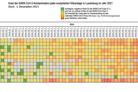 Screenshot aus dem Coronastep-Report vom 1. Dezember/Bearbeitung (Übersetzungen) durch den Autor