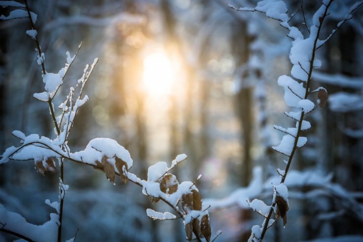 Meteolux / Warnstufe Gelb am Freitag: Staatlicher Wetterdienst erwartet Schnee im Norden