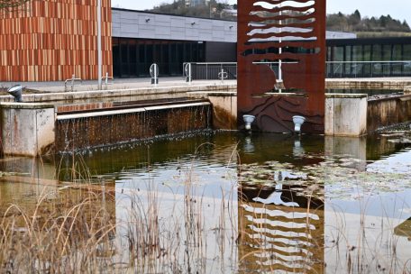 Umwelt  / Hotspots der Biodiversität: Mehr Natur für dicht besiedelte Gebiete