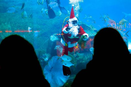 An dem bei Bürgern des Großherzogtums beliebten Reiseziel Dubai wird rund um Weihnachten für festliche Stimmung bei den Touristen gesorgt – so wie in diesem Aquarium der „Dubai mall“