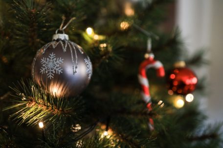 Umwelt / Weihnachtsbaum einfach entsorgen? Wofür man ihn stattdessen noch verwenden kann