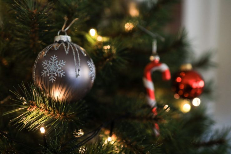 Umwelt / Weihnachtsbaum einfach entsorgen? Wofür man ihn stattdessen noch verwenden kann