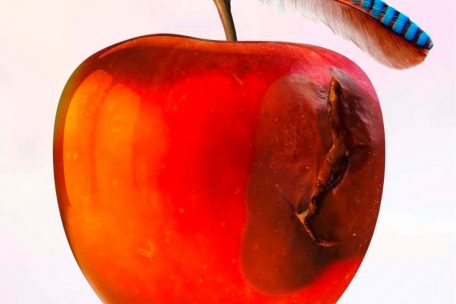 International Music – Ententraum