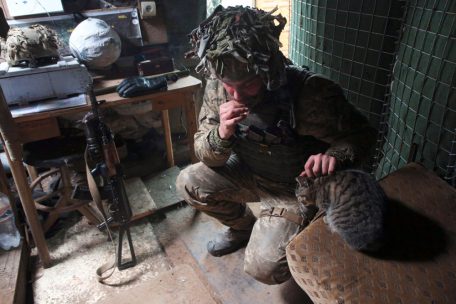 Ukrainischer Soldat nahe der Frontlinie: Seit 2014 starben infolge des Krieges mehr als 13.000 Menschen