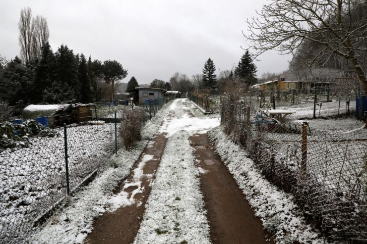 Gaalgebierg / Endlich vorwärts – Wasserleitung in Escher Schrebergärten kommt ab Februar