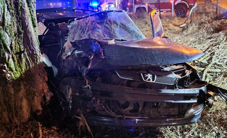 Polizei / Ende einer internationalen Fluchtfahrt: Zwei Schwerverletzte nach Crash in Rodange