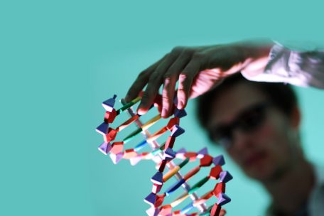 Gesundheit / Wie Forschende aus Luxemburg dem Geheimnis eines gesunden Immunsystems im Alter auf der Spur sind