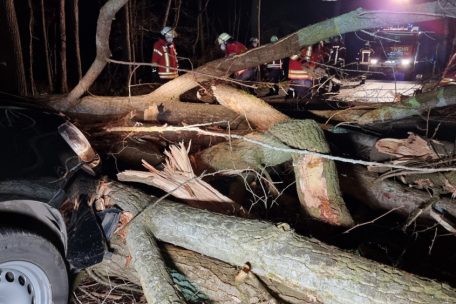 Feuerwehr räumt in Niedersachsen eine Straße
