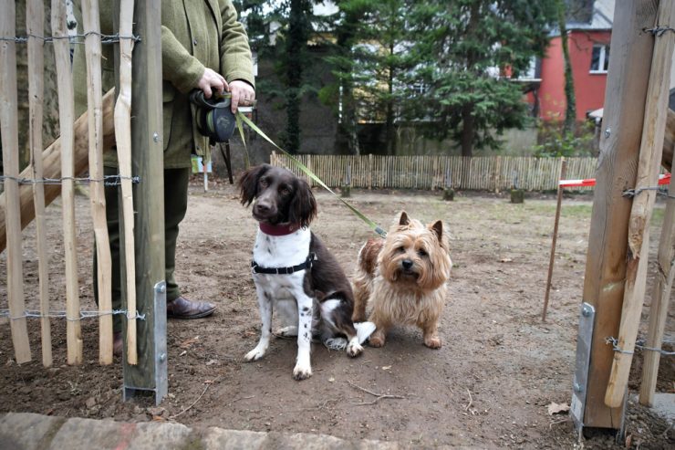 Leinen los / Der Escher Parc Laval kommt auf den Hund – Die erste Hundewiese der Stadt entsteht