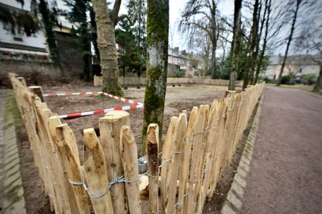 Hier können in Zukunft die Hunde von der Leine gelassen werden