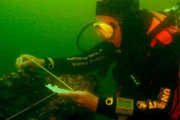 Australien / Der Kampf um die letzte Ruhestätte der „Endeavour“