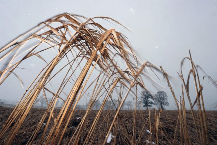 Luxemburg / Meteolux warnt vor starken Windböen am Freitagabend und Glätte am Samstagmorgen