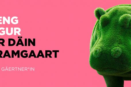 Fachkräftemangel / Neue Werbekampagne soll Jugendliche für Handwerksberufe gewinnen