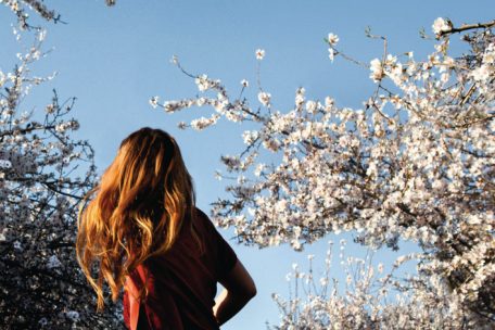 L’affiche du festival