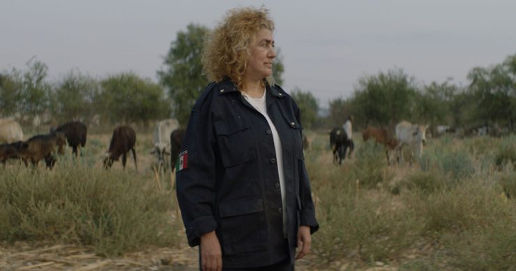 Berlinale (Tag 2 und 3) / Die Wettbewerbsfilme: Bandengewalt, Befreiungskämpfe und Beziehungsdramen