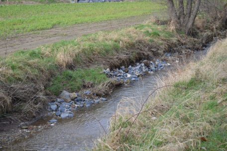 Das abgelagerte Steingeröll sowie die losen Äste müssten periodisch entfernt werden
