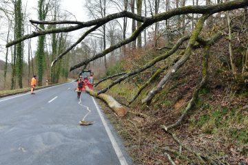 Warnstufe Gelb / „Antonia“ sorgt für stürmische Nacht – Meteolux warnt am Montag vor weiteren Windböen