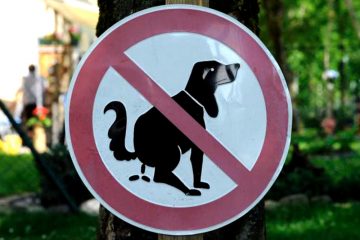 Kampf gegen Hundekot / Gemeinde Differdingen appelliert an Hundebesitzer