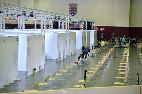 Luxemburg-Stadt / Verseuchter Boden und 32 Bäume, die gefällt werden müssen