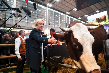 Frankreich  / Beim „Salon international de l’agriculture“ muss sich jeder Präsidentschaftskandidat zeigen