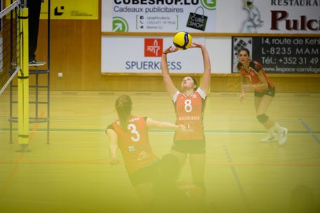 Novotel League / Mamer schlägt zurück: Nach zwei Niederlagen endlich ein Sieg gegen Gym