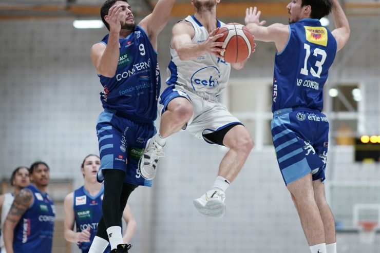 Basketball / Liga-MVP Alex Stein hat mit der Résidence noch einiges vor