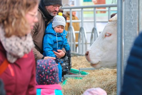 Für den Nachwuchs ist es besonders spannend, auf Tuchfühlung mit den Tieren gehen zu können