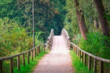 Sicher wandern / Baumkronenweg zwischen „Waldhaff“ und Gonderingen: Vier Ideen für einen Übergang werden geprüft
