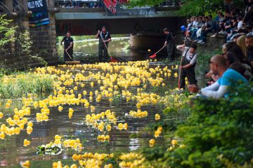 16.000 Plastiktiere / Duck Race in Luxemburg: Die gelben Enten schwimmen wieder 