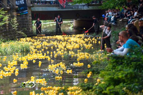 16.000 Plastiktiere / Duck Race in Luxemburg: Die gelben Enten schwimmen wieder 