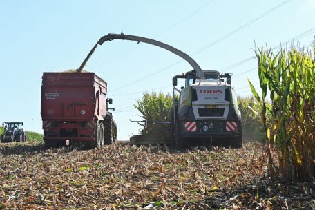 Düngemittel sind knapp und teuer: Wie die Ernte im Herbst ausfallen wird, lässt sich nur schwer voraussagen