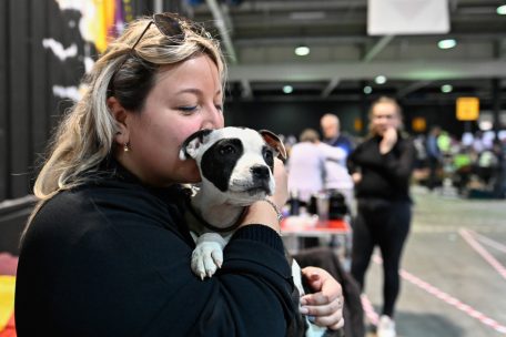 Luxexpo / Nach Skandalen und Pandemie: Die „Dog Expo“ ist zurück