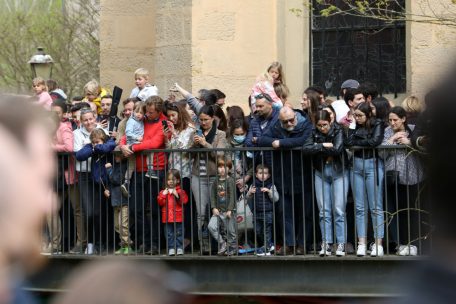 Das Enten-Korso fest im Blick …