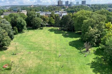 Polizei / Mutmaßlicher Dealer bei Drogenkontrolle im Park „Kinnekswiss“ festgenommen