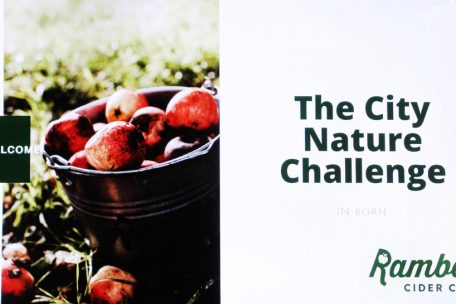 „The City Nature Challenge“ findet vom 30. April bis zum 1. Mai weltweit statt, zum ersten Mal an diesen Daten auch am „Cider Haff“ in Born